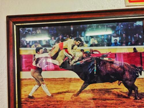 bullfighter3